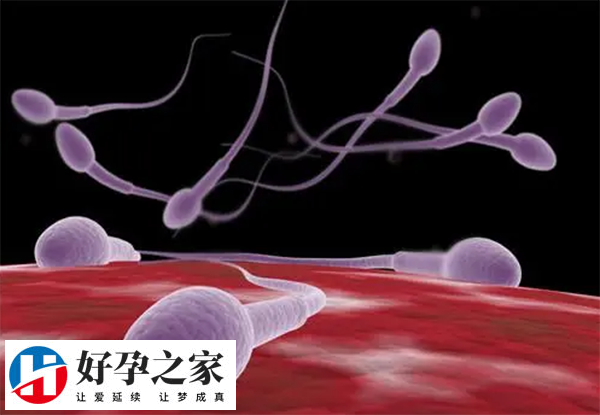 一次冻精可做几次人工授精