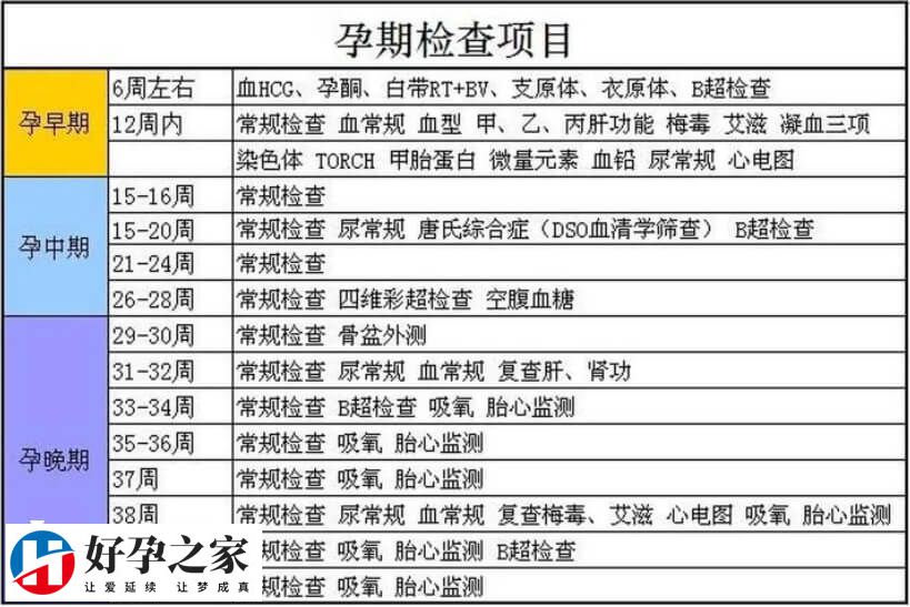 建档产检检查项目