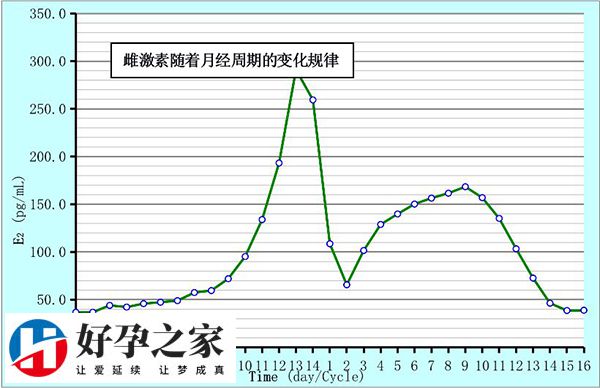 女性体内雌二醇数值每天都不同