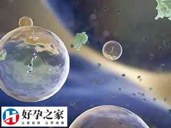 试管婴儿取卵个数是不是越多越好