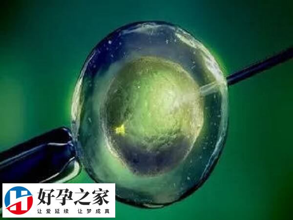 三代试管pgs筛查后为何会发育畸形