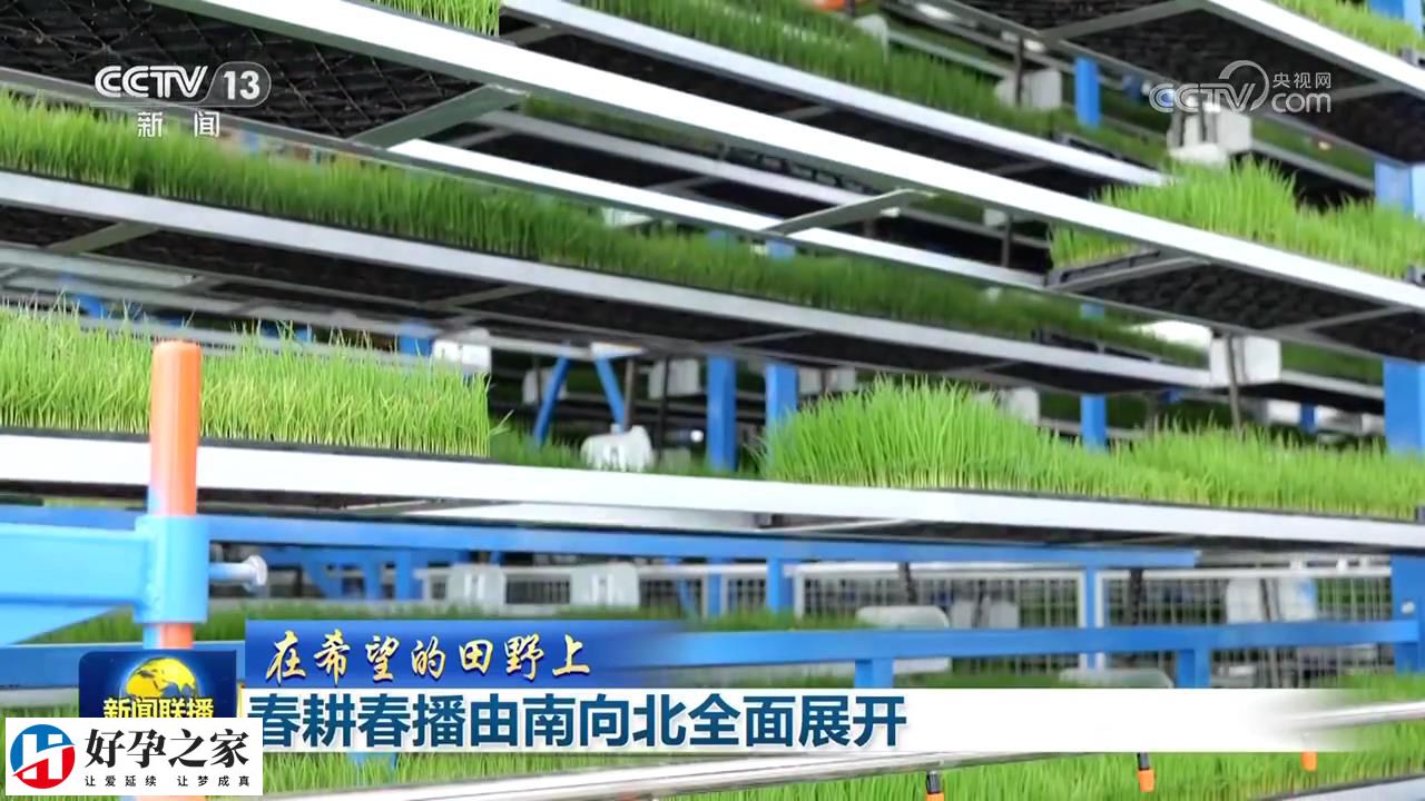 春耕春播由南向北全面展开