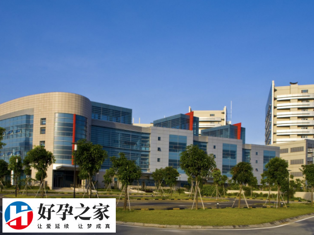 泰国人工授精医院是否正规
