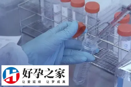 洛阳市妇幼保健院做试管不需要结婚证了是真的吗？