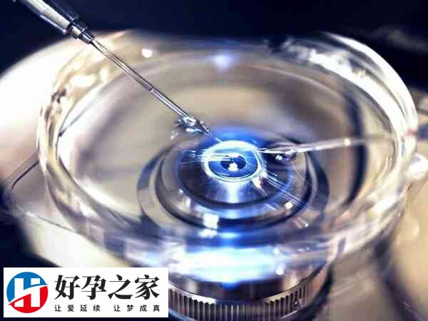 一代试管养囊成功率高不高