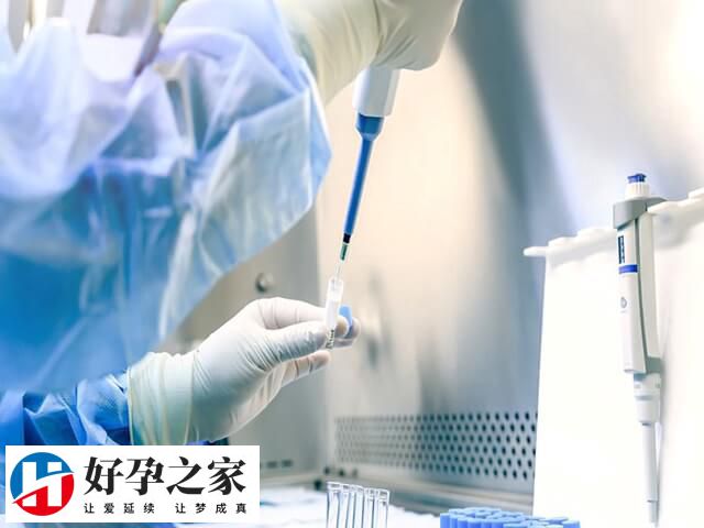 卵泡多但取的少怎么回事
