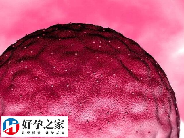 高龄试管移植后怎样容易着床