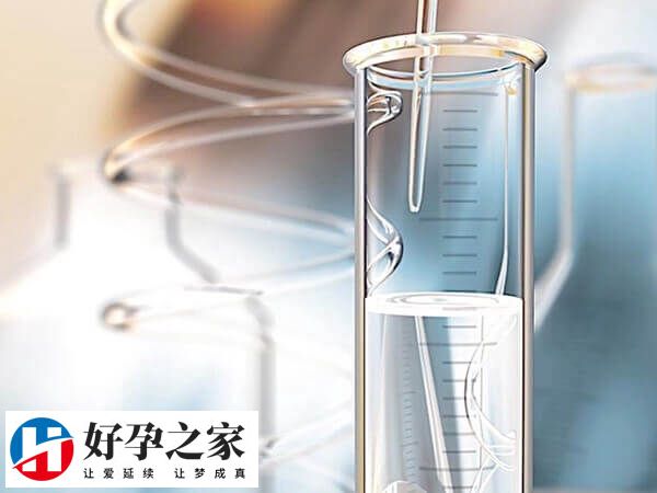 取卵前怎么提高卵子质量