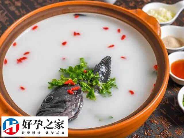 多吃富含蛋白质的食物能增强母体免疫力