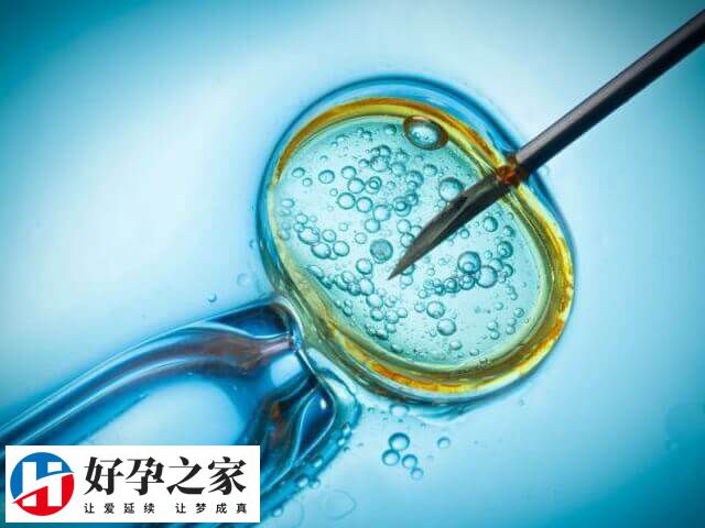 太原生殖医学医院试管成功率在40%-50%