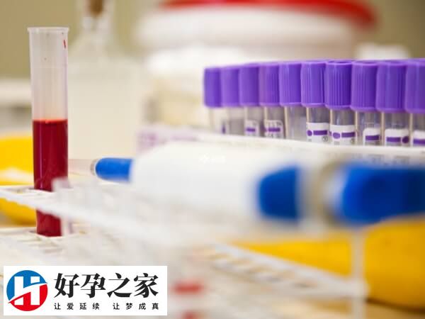 AMH值会在月经周期中有所波动