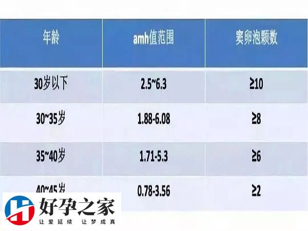 卵巢是每一个女性的重要生殖基础