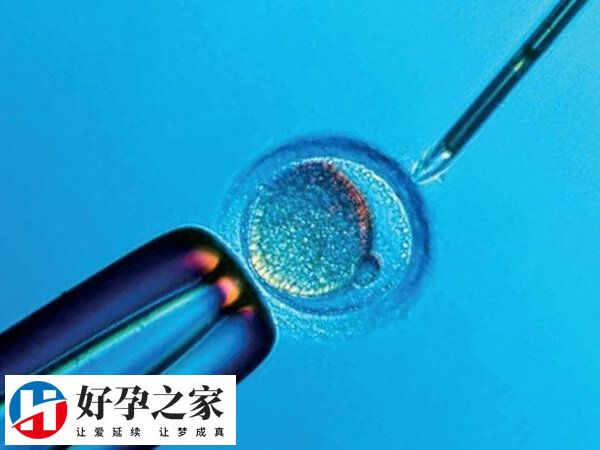 试管婴儿成功率与年龄息息相关