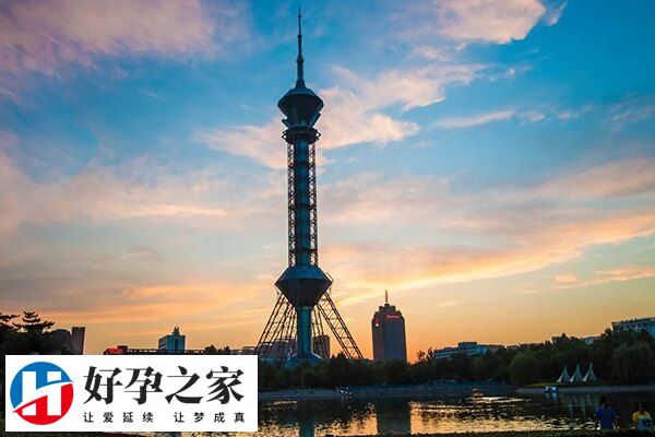 海口有很多试管儿医院和助孕中介机构