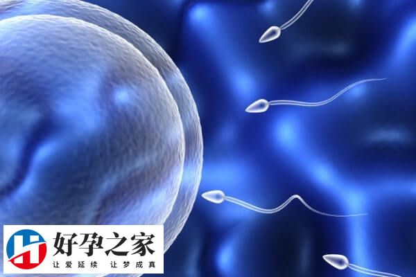 贵阳省医试管婴儿的费用大约在8-12万元之间