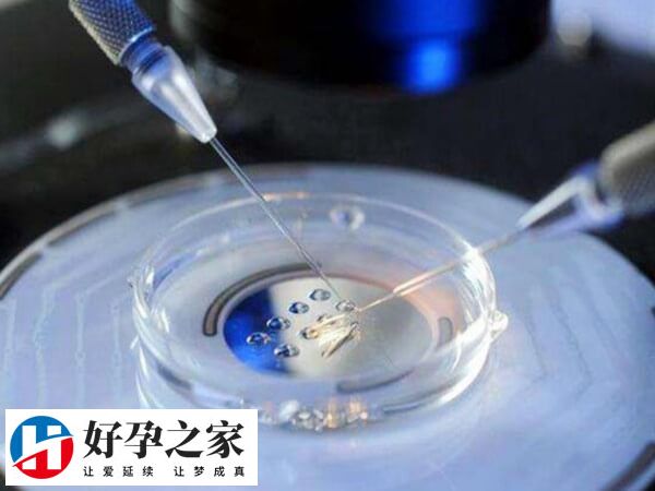 贵阳开展试管婴儿的医院有很多
