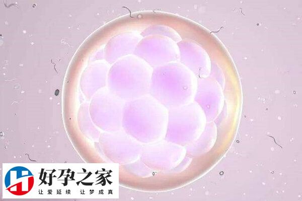 自然周期一般仅有一枚大卵泡