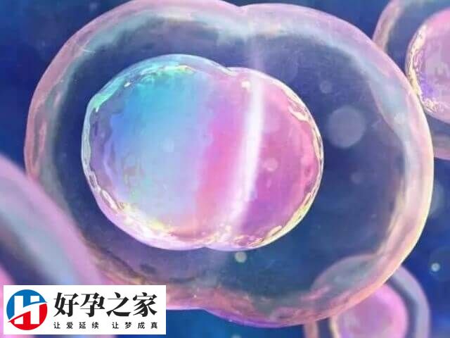 选择有丰富经验的医院进行试管治疗成功率高