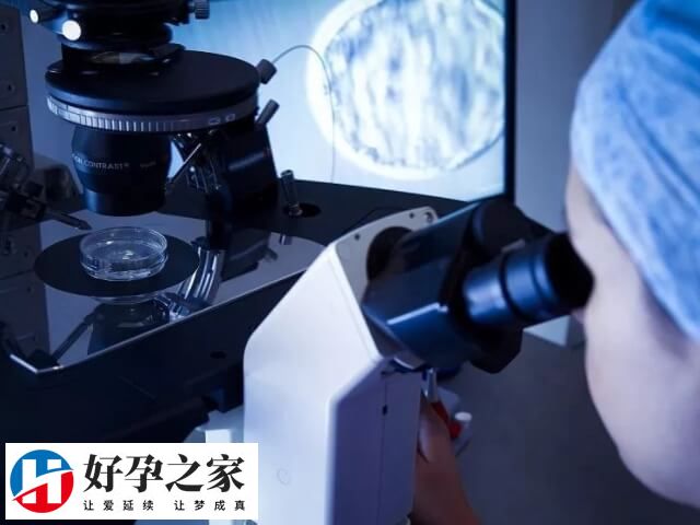 胚胎移植一个成功率高
