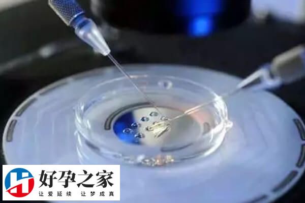 技术成本高是三代试管昂贵的原因之一