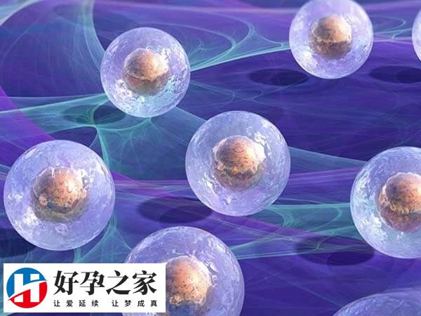 做试管取出来的卵子并非都是能用的