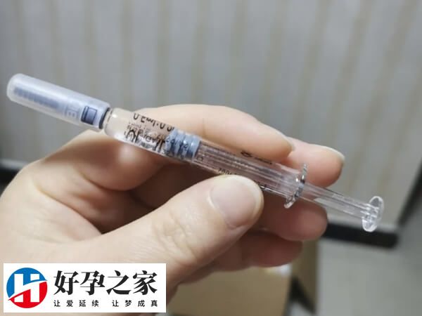 醋酸加尼瑞克可以抑制卵泡长大
