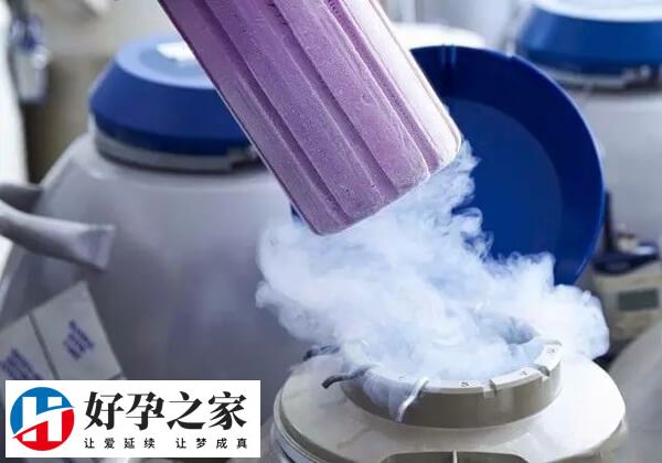 冷冻胚胎的好处多