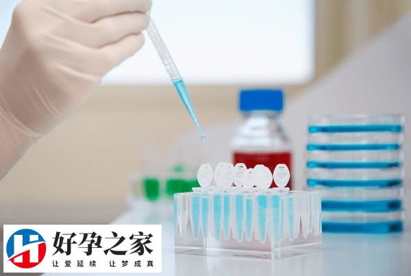 试管移植后少量出血不用担心