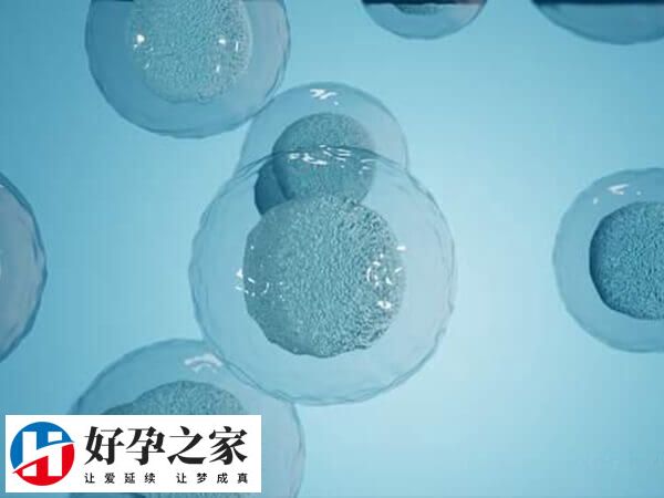 黄体期促排卵方案适用于卵巢功能低下的人