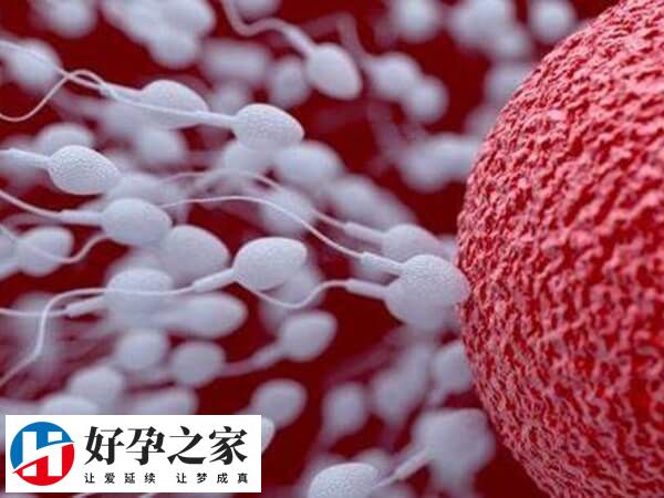 精液完成一次新陈代谢需要3到7天左右