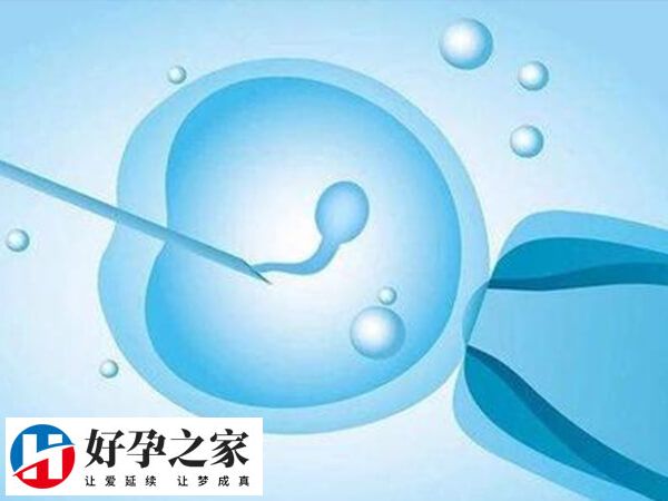 一代试管生男生女都有可能