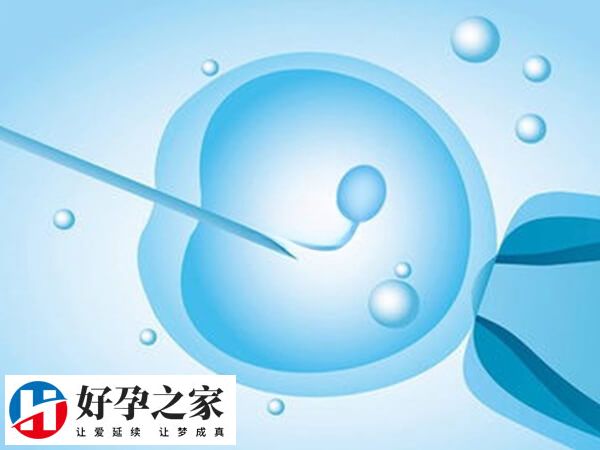 做试管之前应该做什么准备