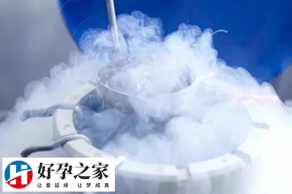 囊胚解冻后几小时移植