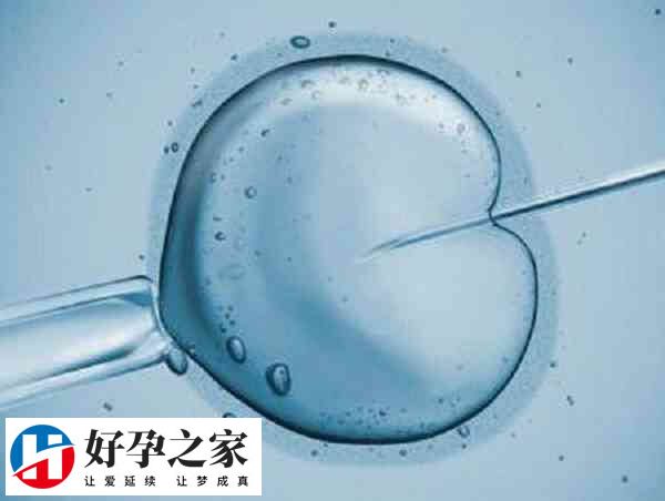 冻囊胚移植前要进行内膜准备