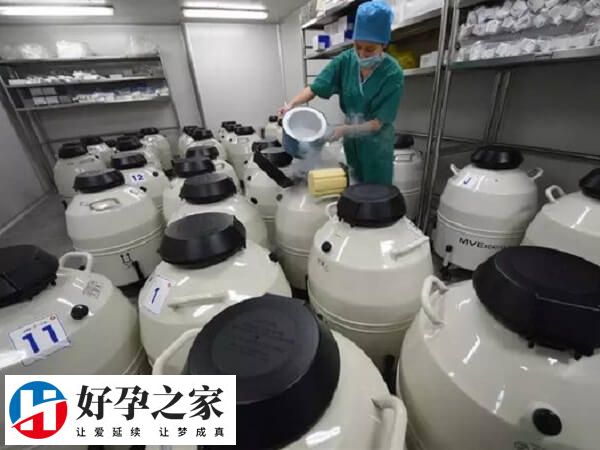 用国家卵子库卵子流程有哪些