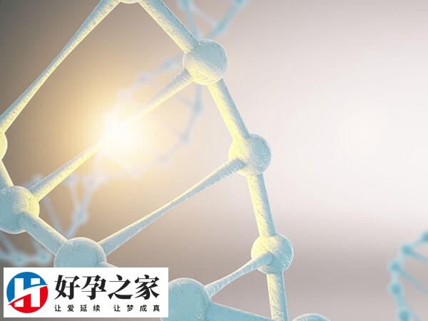 试管婴儿精卵不结合的原因是什么