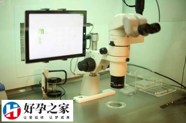 激素刺激排卵会不会造成女性身体发胖