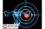 三代试管10万元能否成功