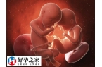 女人35岁以后是不是很难怀孕