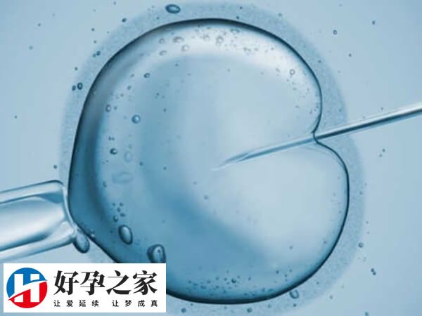 胚胎筛选技术可选择健康胚胎移植