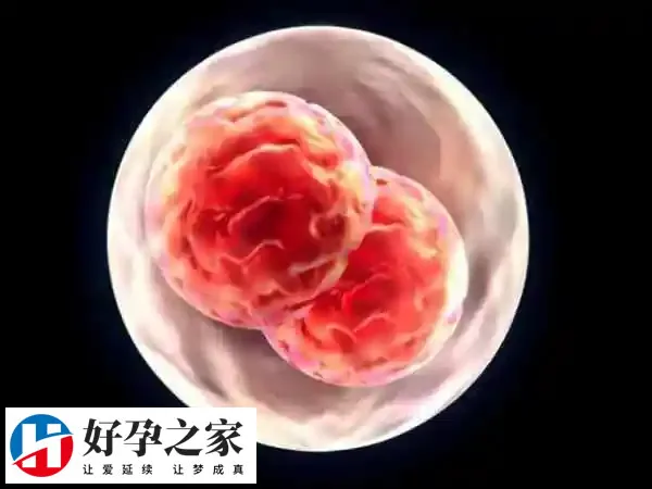 子宫内膜厚度合适能提高鲜胚移植成功率
