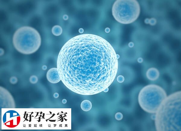 fsh大于20要及时去正规医院治疗