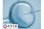 容易胎停的人为什么试管可以成功
